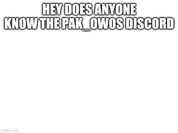 HEY DOES ANYONE KNOW THE PAK_OWOS DISCORD | made w/ Imgflip meme maker