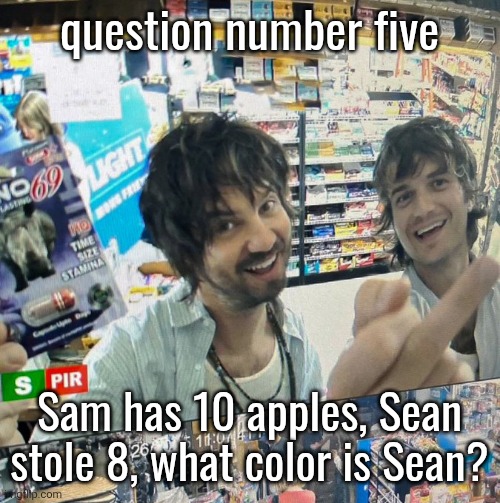 Kevin Parker and Joe Keery | question number five; Sam has 10 apples, Sean stole 8, what color is Sean? | image tagged in kevin parker and joe keery | made w/ Imgflip meme maker