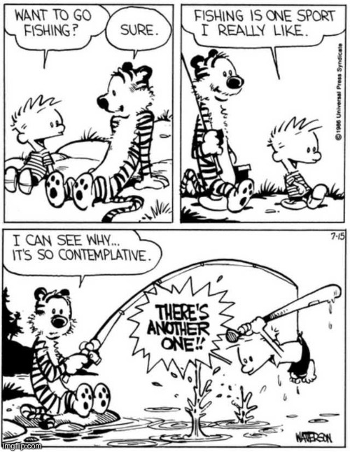 Calvin and “the art of fishing”… | image tagged in calvin and hobbes,comics,fishing,baseball bat | made w/ Imgflip meme maker