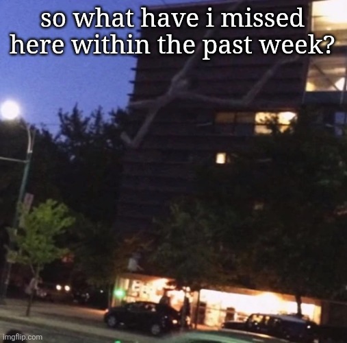 GET THE FUCK DOWN FROM THERE | so what have i missed here within the past week? | image tagged in get the fuck down from there | made w/ Imgflip meme maker