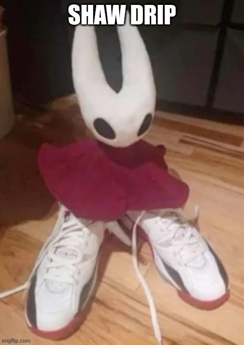 This is a title I guess | SHAW DRIP | image tagged in hollow knight,silksong,hornet | made w/ Imgflip meme maker