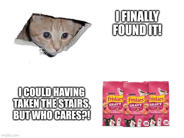 I think the humans care, cat. | I FINALLY FOUND IT! I COULD HAVING TAKEN THE STAIRS, BUT WHO CARES?! | image tagged in cats,cat food | made w/ Imgflip meme maker