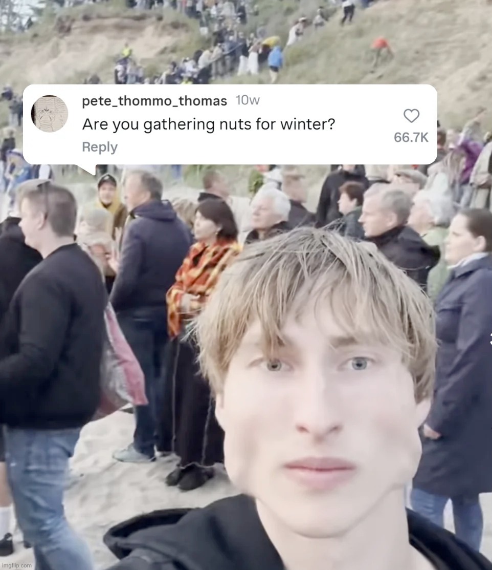 Squirrel | image tagged in memes,funny,mogging,are you gathering nuts for winter | made w/ Imgflip meme maker