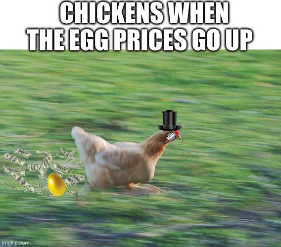 egg ? | CHICKENS WHEN THE EGG PRICES GO UP | image tagged in fast running chicken | made w/ Imgflip meme maker