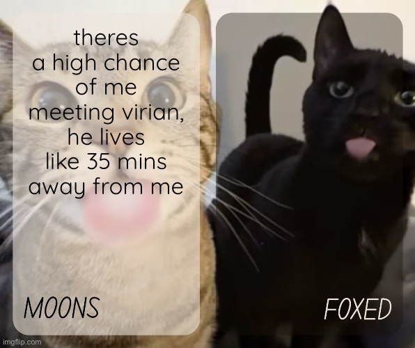 maddox is like 3 n a half hours away | theres a high chance of me meeting virian, he lives like 35 mins away from me | image tagged in moons and foxed kitty temp | made w/ Imgflip meme maker