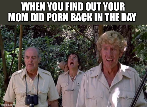 Mom | WHEN YOU FIND OUT YOUR MOM DID PORN BACK IN THE DAY | image tagged in adult humor,funny,your mom,milf,fun,joke | made w/ Imgflip meme maker