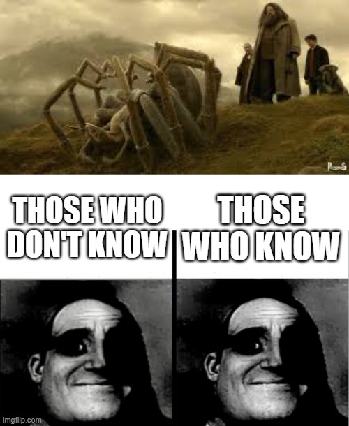 THOSE WHO DON'T KNOW; THOSE WHO KNOW | image tagged in teacher's copy,mr incredible becoming uncanny,spider,harry potter | made w/ Imgflip meme maker