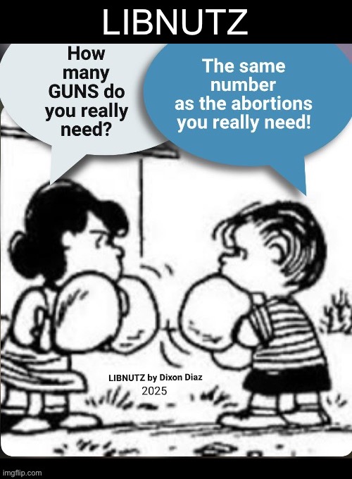 The fight of the centuries… | LIBNUTZ | image tagged in political meme,libnutz,dixon diaz,linus and lucy,guns,abortions | made w/ Imgflip meme maker