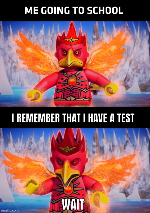 YOU FORGET ABOUT THE TEST | image tagged in memes,school,test,meme,bird,relatable | made w/ Imgflip meme maker