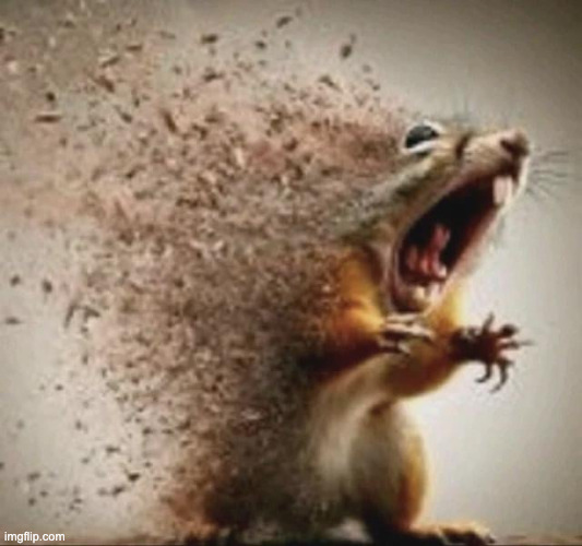 badass squirrel disintegrating | image tagged in badass squirrel disintegrating | made w/ Imgflip meme maker