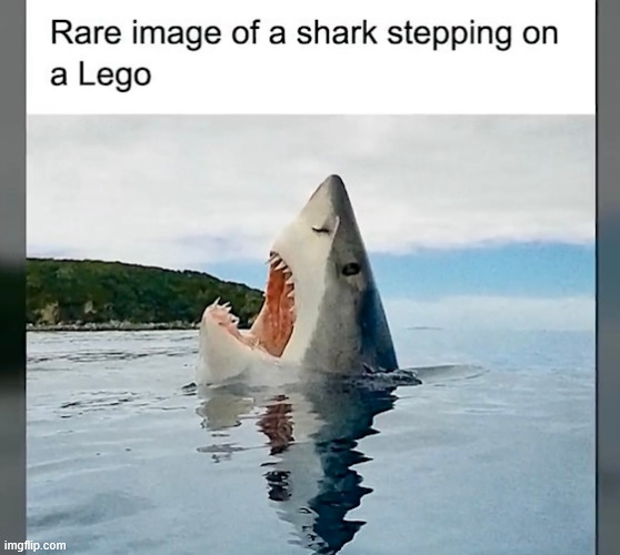 Rare image | image tagged in repost,rare image | made w/ Imgflip meme maker