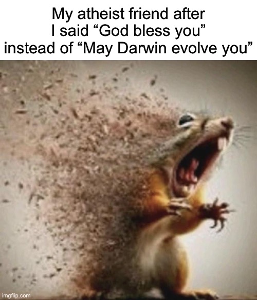 badass squirrel disintegrating | My atheist friend after I said “God bless you” instead of “May Darwin evolve you” | image tagged in badass squirrel disintegrating | made w/ Imgflip meme maker