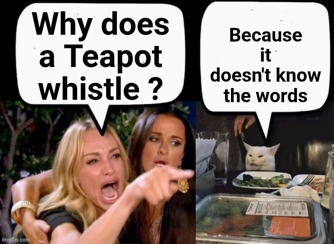 Don't eat the Cat | Why does a Teapot whistle ? Because it doesn't know the words | image tagged in don't eat the cat | made w/ Imgflip meme maker