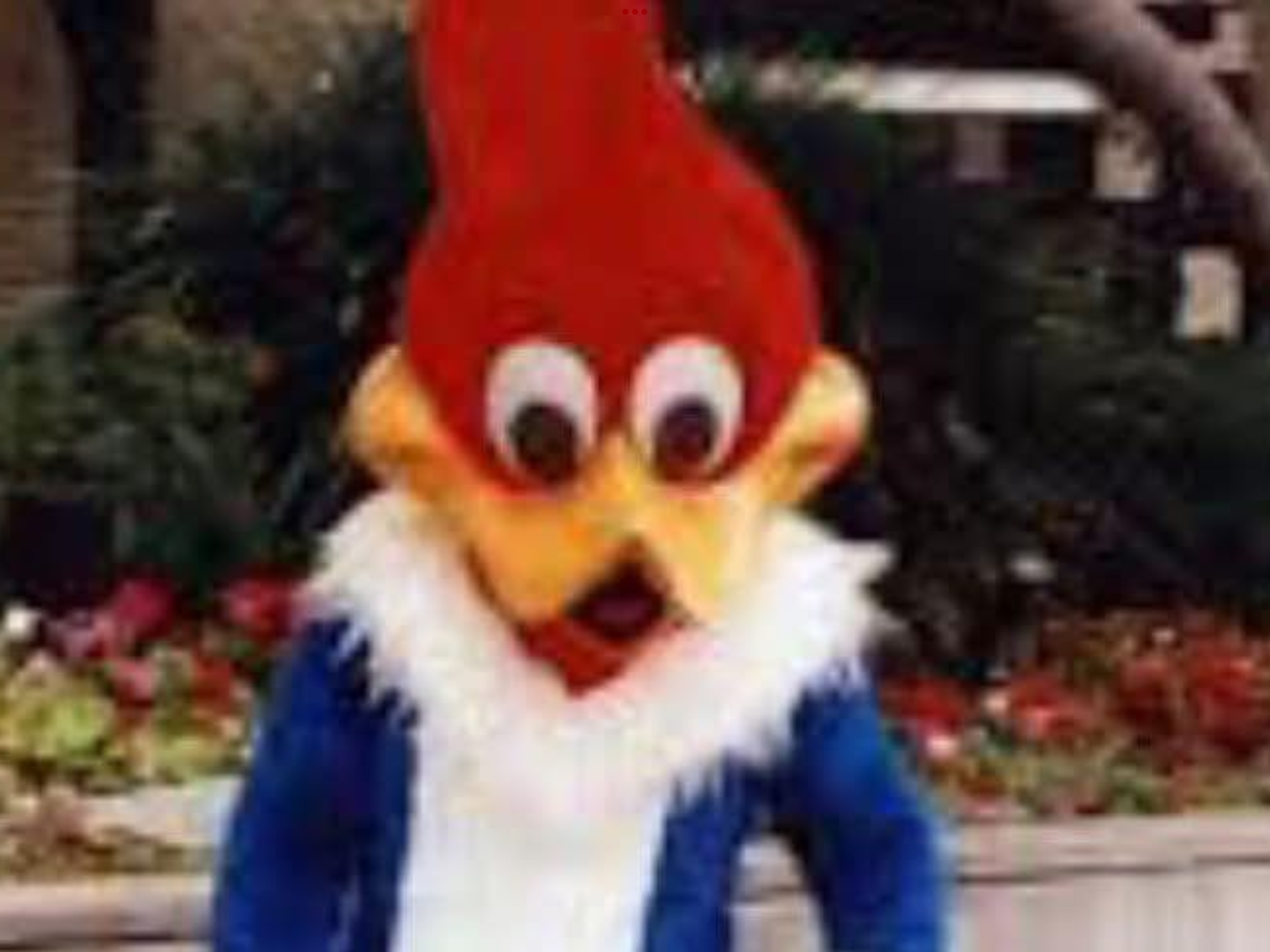 Woodpecker of Doom Blank Meme Template