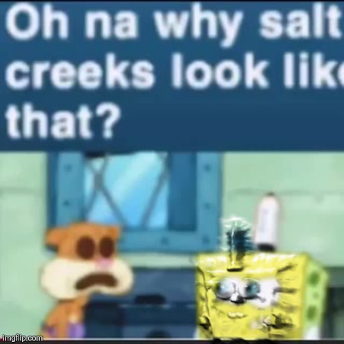 oh na why salt creeks look like that | image tagged in oh na why salt creeks look like that | made w/ Imgflip meme maker