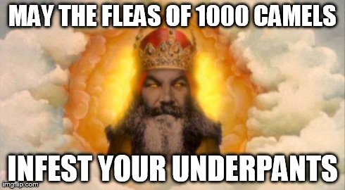 curses! | MAY THE FLEAS OF 1000 CAMELS INFEST YOUR UNDERPANTS | image tagged in monty python god | made w/ Imgflip meme maker