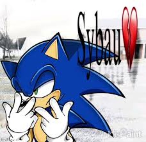 Sonic SYBAU | image tagged in sonic sybau | made w/ Imgflip meme maker