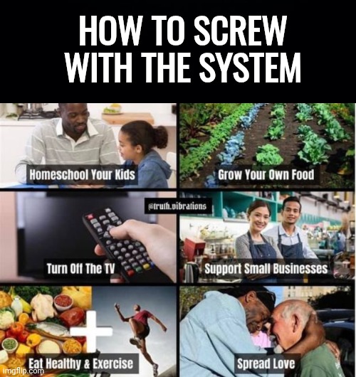 Screw with the system | HOW TO SCREW WITH THE SYSTEM | image tagged in black background,rebellion | made w/ Imgflip meme maker