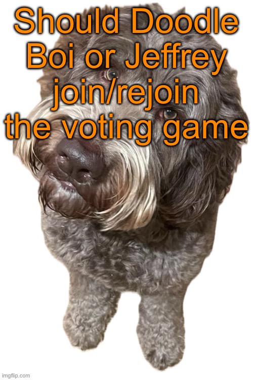 I never thought that Jeffrey would be a revive option but here we are | Should Doodle Boi or Jeffrey join/rejoin the voting game | image tagged in norther's dog,voting game s12 | made w/ Imgflip meme maker