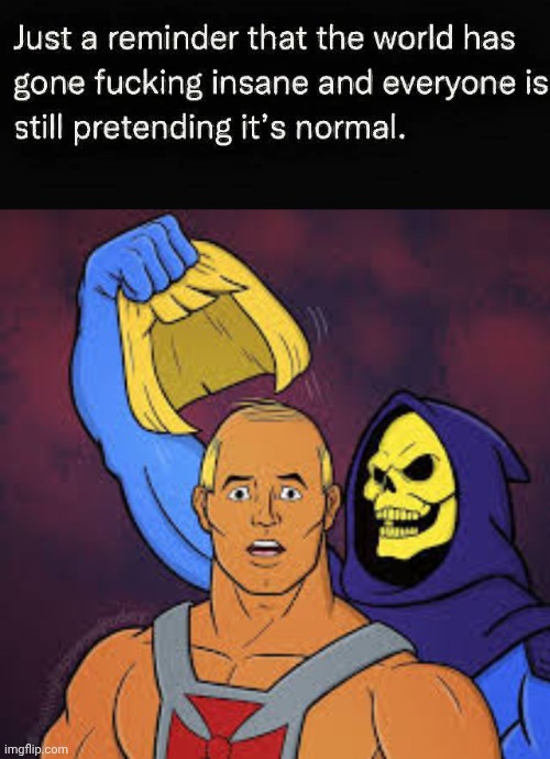 World has gone insane | image tagged in he man wears a toupee skeletor big reveal,insane | made w/ Imgflip meme maker
