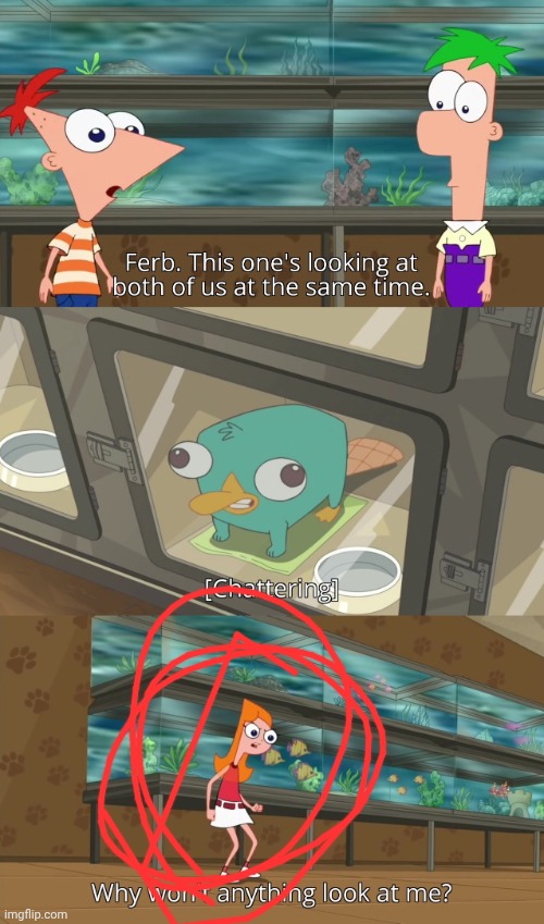 why won't anything look at me? | image tagged in why won't anything look at me | made w/ Imgflip meme maker