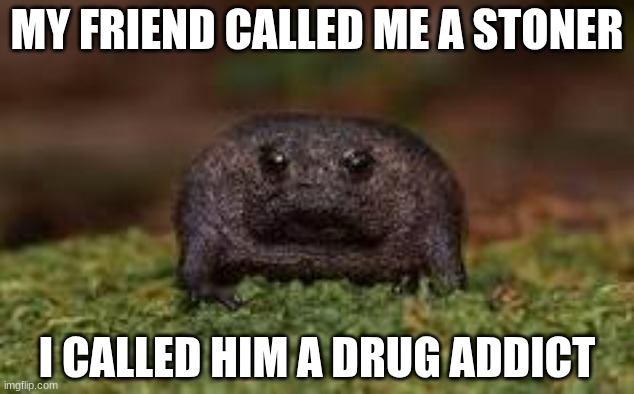 MY FRIEND CALLED ME A STONER; I CALLED HIM A DRUG ADDICT | made w/ Imgflip meme maker