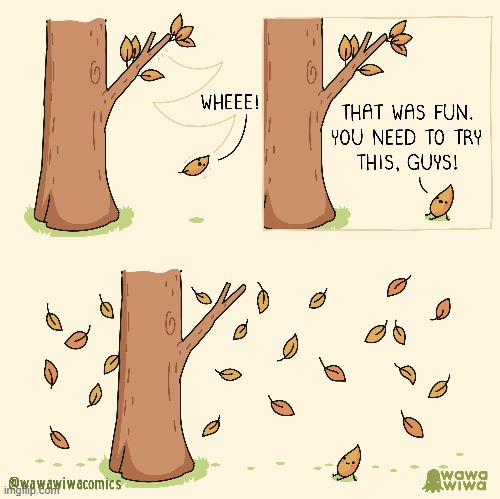 image tagged in autumn,leaf,leaves,autumn leaves,tree,falling | made w/ Imgflip meme maker