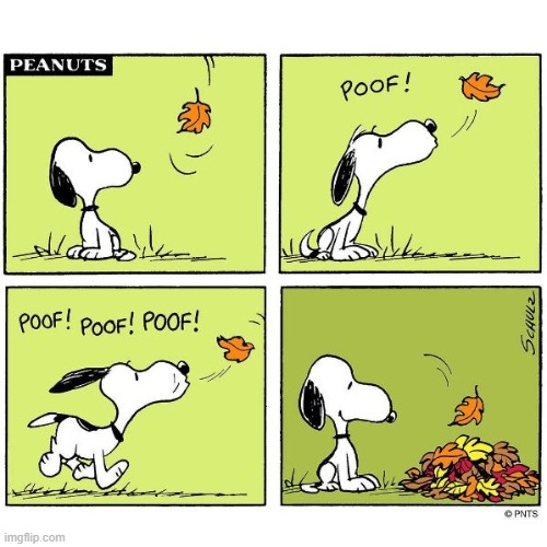image tagged in peanuts,snoopy,leaves,autumn,autumn leaves,pile | made w/ Imgflip meme maker