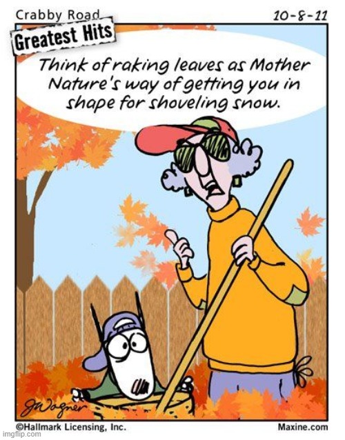 Happy Autumn, everybody! | image tagged in autumn,autumn leaves,rake,mother nature,snow,shovel | made w/ Imgflip meme maker