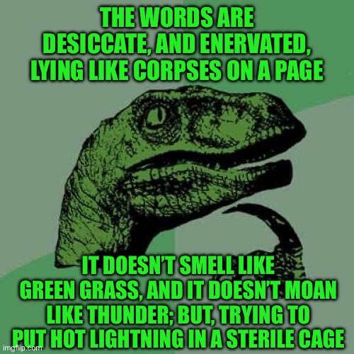 Philosoraptor | THE WORDS ARE DESICCATE, AND ENERVATED, LYING LIKE CORPSES ON A PAGE; IT DOESN’T SMELL LIKE GREEN GRASS, AND IT DOESN’T MOAN LIKE THUNDER; BUT, TRYING TO PUT HOT LIGHTNING IN A STERILE CAGE | image tagged in memes,philosoraptor | made w/ Imgflip meme maker