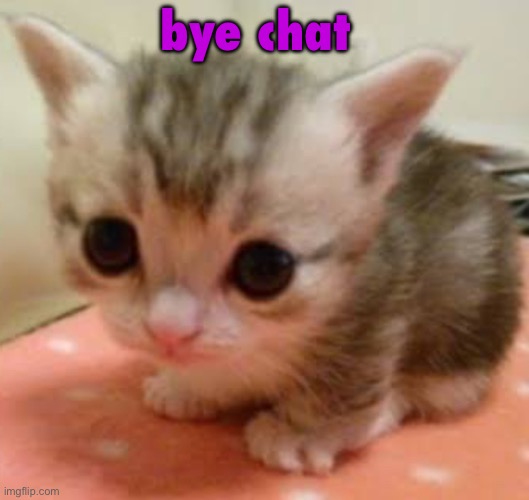 lil guy | bye chat | image tagged in lil guy | made w/ Imgflip meme maker