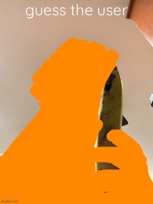 guess the user | made w/ Imgflip meme maker