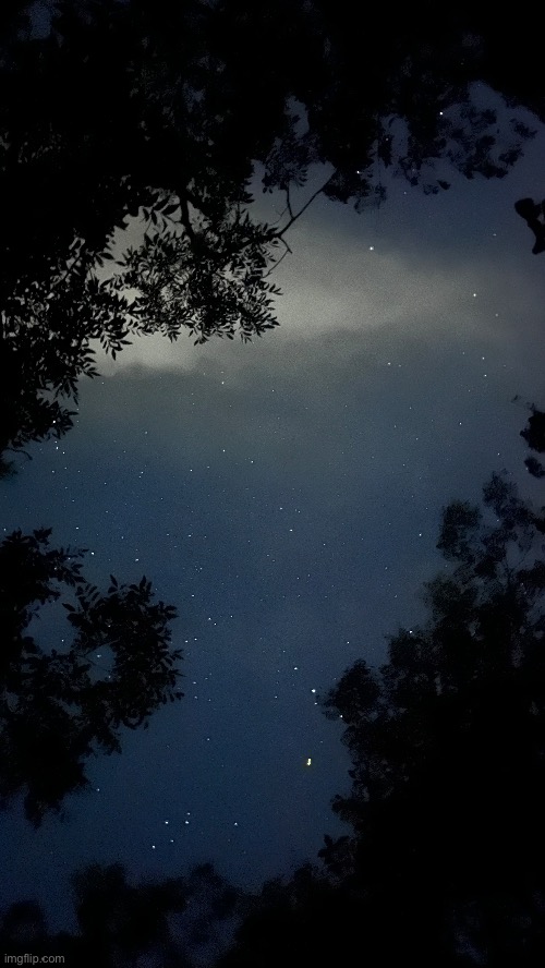 the sky is definitely worth getting eaten by mosquitos | made w/ Imgflip meme maker