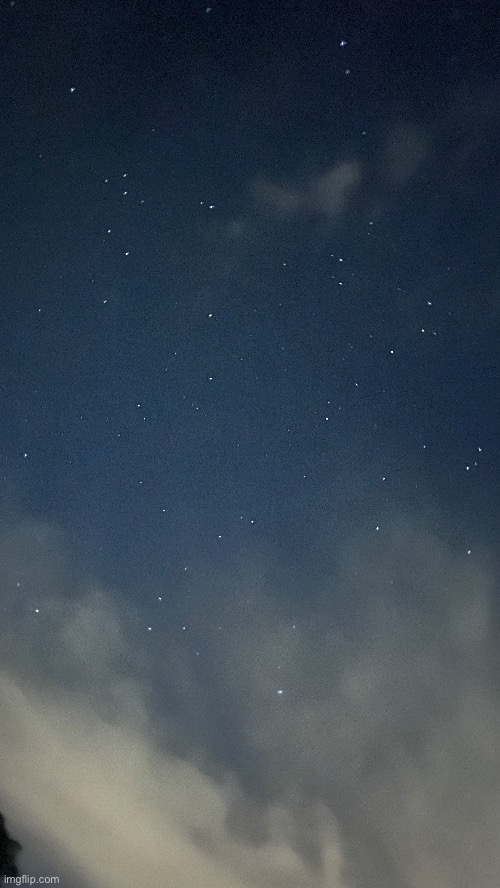 all different spots of my yard btw | made w/ Imgflip meme maker