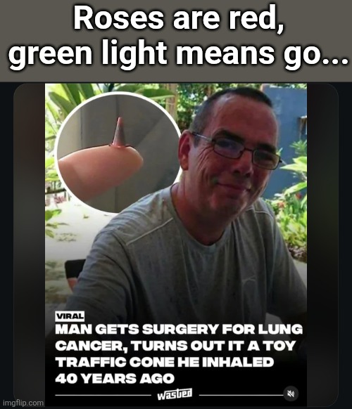 wonder what that must've felt like... | Roses are red, green light means go... | image tagged in roses are red,memes | made w/ Imgflip meme maker