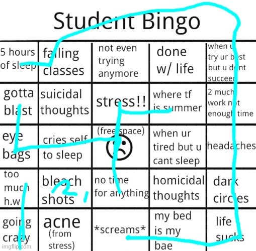 student bingo | image tagged in student bingo | made w/ Imgflip meme maker