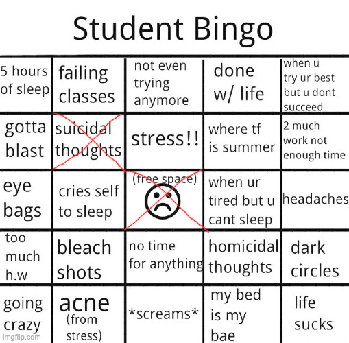 Who tf made this bingo | image tagged in student bingo | made w/ Imgflip meme maker