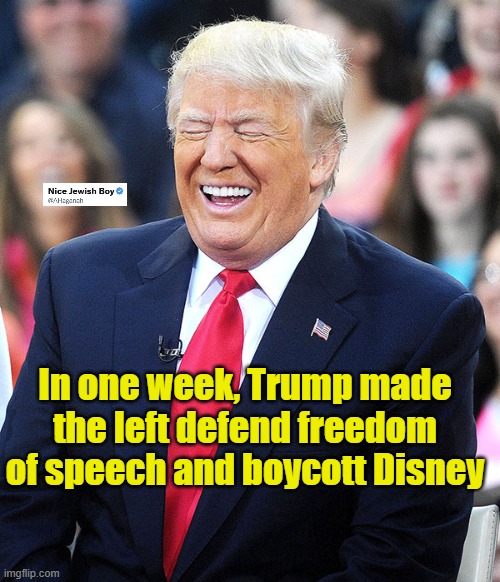 More than 3 years left in this Administration! | In one week, Trump made the left defend freedom of speech and boycott Disney | image tagged in trump laughing | made w/ Imgflip meme maker