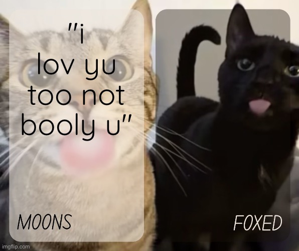 moons and foxed kitty temp | "i lov yu too not booly u" | image tagged in moons and foxed kitty temp | made w/ Imgflip meme maker