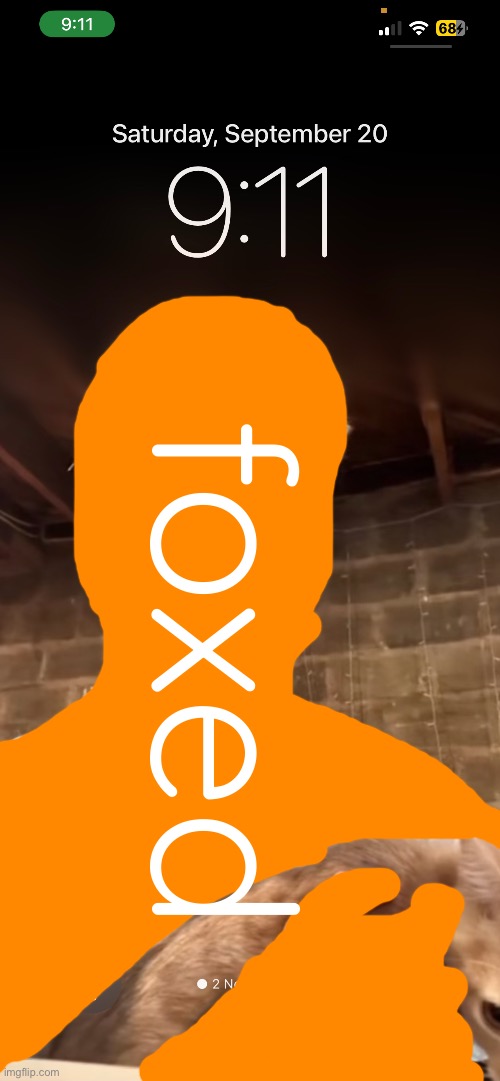 foxed | made w/ Imgflip meme maker