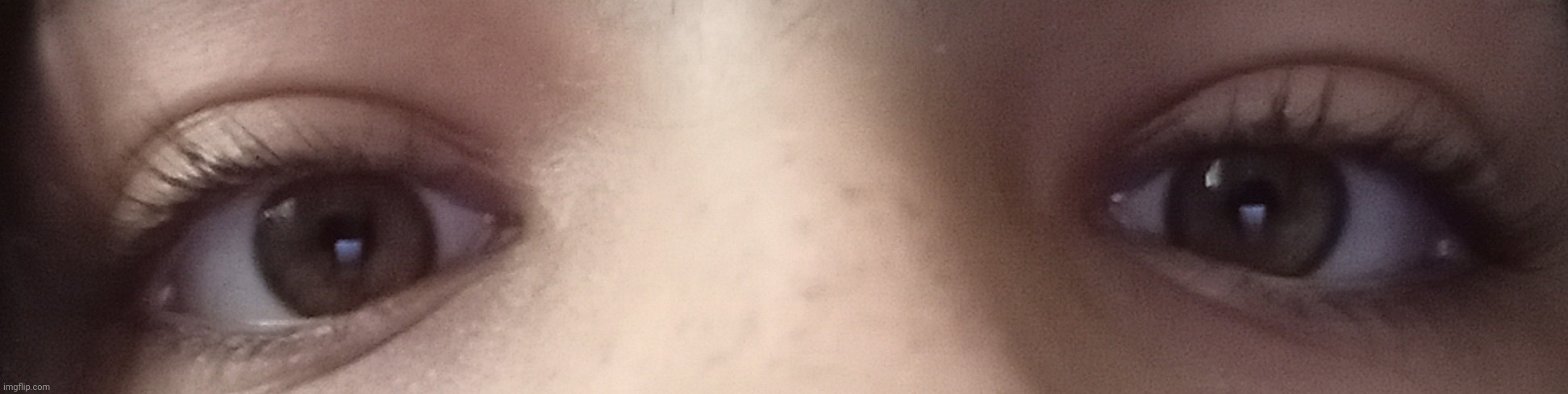 apparently my eye color is really rare but they just look brown to me | made w/ Imgflip meme maker