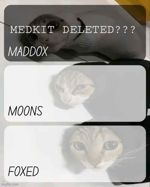 Was just checking my notifs and saw ts | MEDKIT DELETED??? | image tagged in maddox moons n foxed kitty temp | made w/ Imgflip meme maker