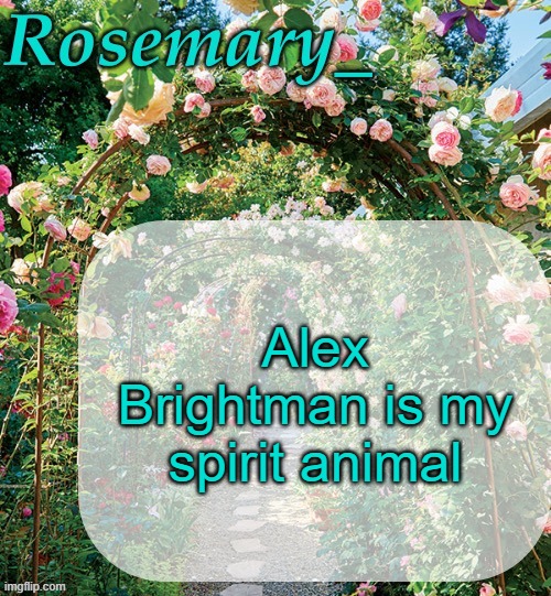 never in my life have I ever seen a man with that much chaos energy in his voice and mannerisms. | Alex Brightman is my spirit animal | image tagged in rosemary_ template | made w/ Imgflip meme maker