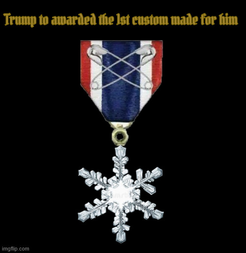 Trump to be awarded the Snowflake | Trump to awarded the 1st custom made for him | image tagged in trump to be awarded the snowflake,better than a nobell prize,maga medal,to be worn with dishonor,diaper don | made w/ Imgflip meme maker