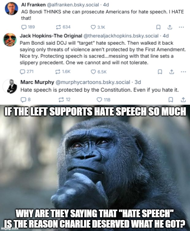 IF THE LEFT SUPPORTS HATE SPEECH SO MUCH; WHY ARE THEY SAYING THAT "HATE SPEECH" IS THE REASON CHARLIE DESERVED WHAT HE GOT? | image tagged in deep thoughts | made w/ Imgflip meme maker