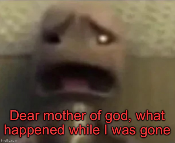 Why do I always come online when the fucked shit is happening?!? | Dear mother of god, what happened while I was gone | image tagged in sackboy sad | made w/ Imgflip meme maker