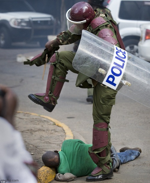police curbstomp | image tagged in police curbstomp | made w/ Imgflip meme maker