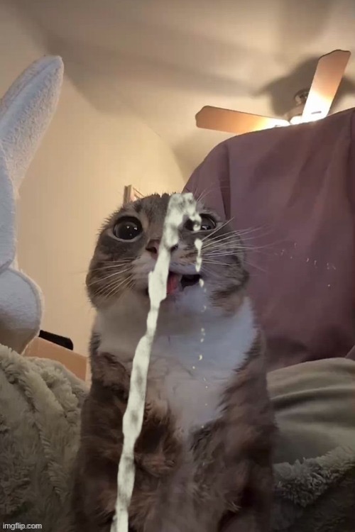 silly | image tagged in silly | made w/ Imgflip meme maker