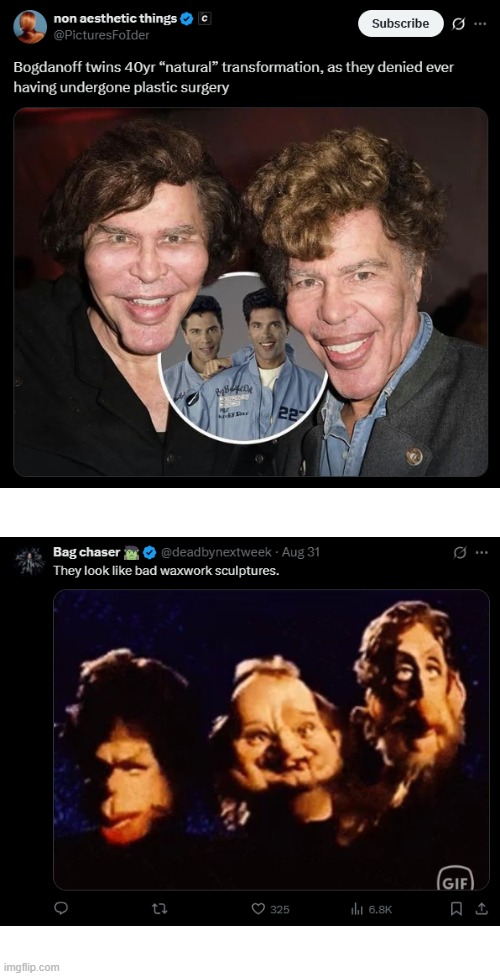 image tagged in twins,faces,plastic surgery,wax,sculptures,creepy | made w/ Imgflip meme maker