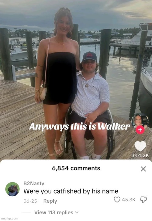 image tagged in walker,name,catfish,wheelchair | made w/ Imgflip meme maker